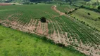 Foto 11 de Fazenda/Sítio com 3 Quartos à venda, 254100m² em Zona Rural, Jacutinga