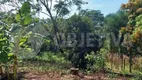 Foto 2 de Fazenda/Sítio com 4 Quartos à venda, 260m² em Chacara Represa de Miranda, Uberlândia