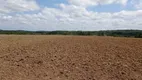 Foto 21 de Fazenda/Sítio com 4 Quartos à venda, 200m² em Zona Rural, Angatuba