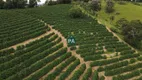 Foto 9 de Fazenda/Sítio com 1 Quarto à venda, 480000m² em , Bandeira do Sul