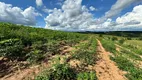 Foto 30 de Fazenda/Sítio com 3 Quartos à venda, 254100m² em Zona Rural, Jacutinga