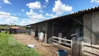 Foto 17 de Fazenda/Sítio com 4 Quartos à venda, 1171675m² em Centro, Salgado