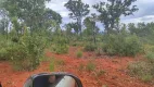 Foto 5 de Fazenda/Sítio com 1 Quarto à venda, 13000m² em , Barreiras do Piauí