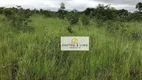 Foto 6 de Fazenda/Sítio com 10 Quartos à venda, 500m² em Zona Rural, Recursolândia
