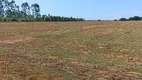 Foto 9 de Fazenda/Sítio com 2 Quartos à venda, 6m² em Zona Rural, Cocalzinho de Goiás