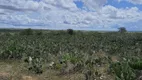 Foto 3 de Fazenda/Sítio com 3 Quartos à venda, 85000m² em Centro, Ielmo Marinho