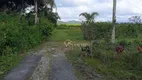 Foto 5 de Fazenda/Sítio com 4 Quartos à venda, 200m² em Vargem Pequena, Florianópolis