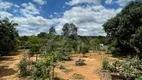 Foto 29 de Fazenda/Sítio com 4 Quartos à venda, 18000m² em Centro, Araçariguama