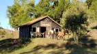 Foto 12 de Fazenda/Sítio com 5 Quartos à venda, 15920m² em Mato Perso, Flores da Cunha