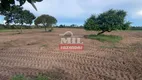 Foto 31 de Fazenda/Sítio à venda, 774m² em Zona Rural, Conceição do Tocantins