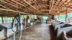 Foto 12 de Fazenda/Sítio com 4 Quartos à venda em Zona Rural, Aragoiânia