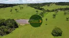 Foto 16 de Fazenda/Sítio à venda, 2613600m² em Zona Rural, Urutaí