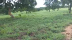 Foto 2 de Fazenda/Sítio à venda em Caicara, Faina