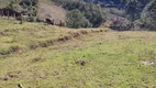 Foto 9 de Lote/Terreno à venda, 2000m² em Zona Rural, Marmelópolis