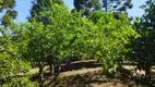 Foto 29 de Fazenda/Sítio com 4 Quartos à venda, 250m² em Bateias, Campo Largo