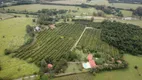 Foto 7 de Fazenda/Sítio com 5 Quartos à venda, 1760m² em Zona Rural, Porto Feliz