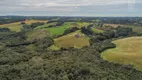 Foto 21 de Lote/Terreno à venda, 20000m² em Ferraria, Campo Largo