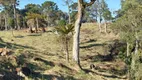 Foto 11 de Lote/Terreno à venda, 20000m² em Zona Rural, Urubici