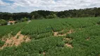 Foto 11 de Fazenda/Sítio à venda, 30000m² em Centro, Campo Alegre