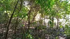 Foto 5 de Fazenda/Sítio com 2 Quartos à venda, 100000m² em Nova Petropolis, Nova Petrópolis