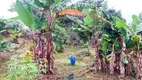 Foto 30 de Fazenda/Sítio com 3 Quartos à venda, 10000m² em , Chácara