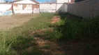 Foto 3 de Lote/Terreno à venda, 290m² em Vila Mac Knight, Santa Bárbara D'Oeste