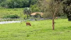 Foto 23 de com 4 Quartos à venda, 145200m² em Centro, Turvolândia