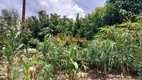 Foto 20 de Fazenda/Sítio com 4 Quartos à venda, 120m² em Area Rural de Capao Bonito, Capão Bonito