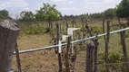 Foto 8 de Fazenda/Sítio com 3 Quartos à venda, 30000m² em , José de Freitas