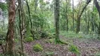 Foto 5 de Fazenda/Sítio com 1 Quarto à venda, 18270m² em Linha Avila, Gramado