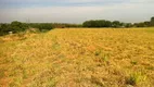 Foto 6 de Lote/Terreno à venda em Taquaral, Piracicaba