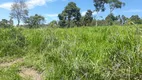 Foto 15 de Fazenda/Sítio à venda, 170000m² em Zona Rural, Passa Tempo