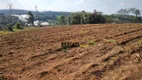 Foto 16 de Fazenda/Sítio com 4 Quartos à venda, 300m² em Godinhos, Piedade