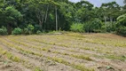 Foto 18 de Lote/Terreno com 1 Quarto à venda, 10000m² em Campo Limpo, Teresópolis