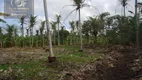 Foto 5 de Fazenda/Sítio com 3 Quartos à venda, 49300m² em Centro, Touros