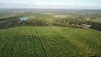 Foto 9 de Fazenda/Sítio com 4 Quartos à venda, 700000000m² em Zona Rural, Canguaretama