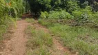 Foto 26 de Fazenda/Sítio com 4 Quartos à venda, 5000m² em Zona Rural, Indiara