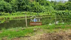 Foto 8 de Fazenda/Sítio à venda, 25m² em Zona Rural, Nerópolis