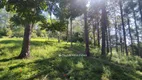 Foto 51 de Fazenda/Sítio com 3 Quartos à venda, 270000m² em Maracanã, Jarinu