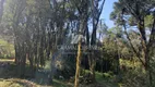 Foto 5 de Lote/Terreno à venda, 420m² em Carniel, Gramado