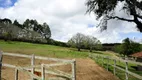 Foto 5 de Fazenda/Sítio com 4 Quartos à venda, 800m² em , Pilar do Sul