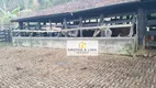 Foto 6 de Fazenda/Sítio com 3 Quartos à venda, 200m² em Pouso Alto, Natividade da Serra