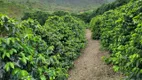 Foto 2 de Fazenda/Sítio à venda, 73000m² em Centro, Ibicoara