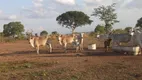 Foto 59 de Fazenda/Sítio com 4 Quartos à venda, 700m² em Zona Rural, Padre Bernardo