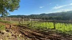 Foto 4 de Lote/Terreno à venda, 20000m² em Vale dos Vinhedos, Bento Gonçalves