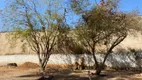 Foto 5 de Fazenda/Sítio com 3 Quartos à venda, 150m² em Parque Ortolandia, Hortolândia