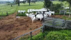 Foto 31 de Fazenda/Sítio com 3 Quartos à venda, 48m² em Centro, Caldas Novas