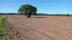 Foto 2 de Fazenda/Sítio com 4 Quartos à venda, 200m² em Zona Rural, Angatuba