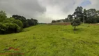 Foto 26 de Lote/Terreno à venda, 18000m² em , Nova Petrópolis