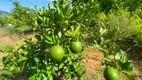 Foto 17 de Fazenda/Sítio com 3 Quartos à venda, 2000m² em Centro, Socorro